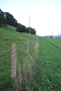 A GSM base station viewed from a distance of 100 m.