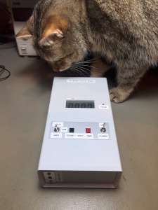 No... my cat is not radioactive... - No... il mio gatto non è radioattivo... (click to zoom)