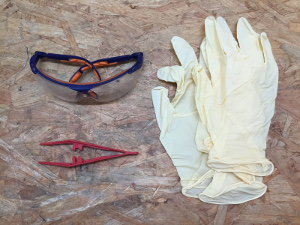 Safety gear: protective goggles, plastic tweezers and plastic gloves. (click to enlarge)