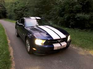 My American car in a Swiss forest. (click to enlarge)