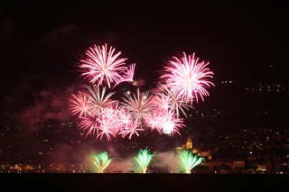 Fireworks of the city of Neuchatel, Aug. 1, 2008, 230mm f/7.1 5s ISO-100